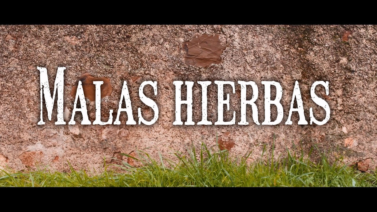 Cortometraje 