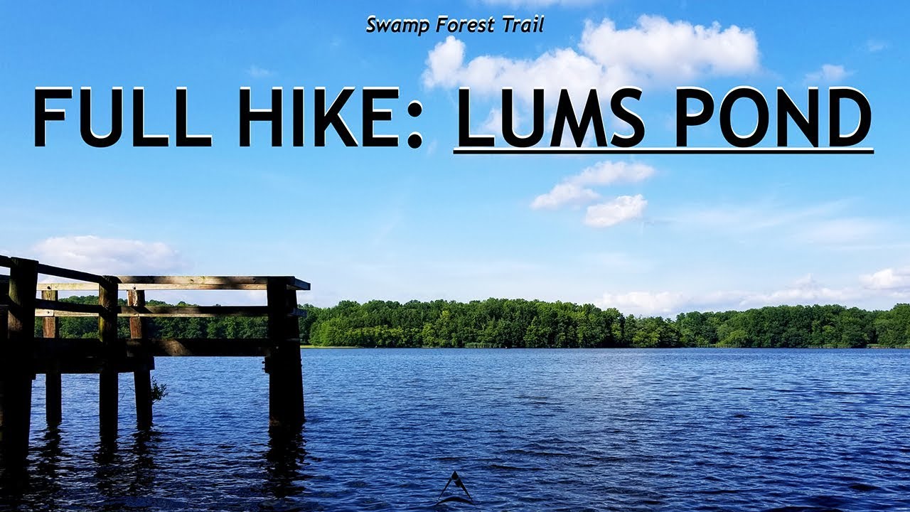 Full Hike: Swampy Forest and the Largest Pond in the First State (Delaware)