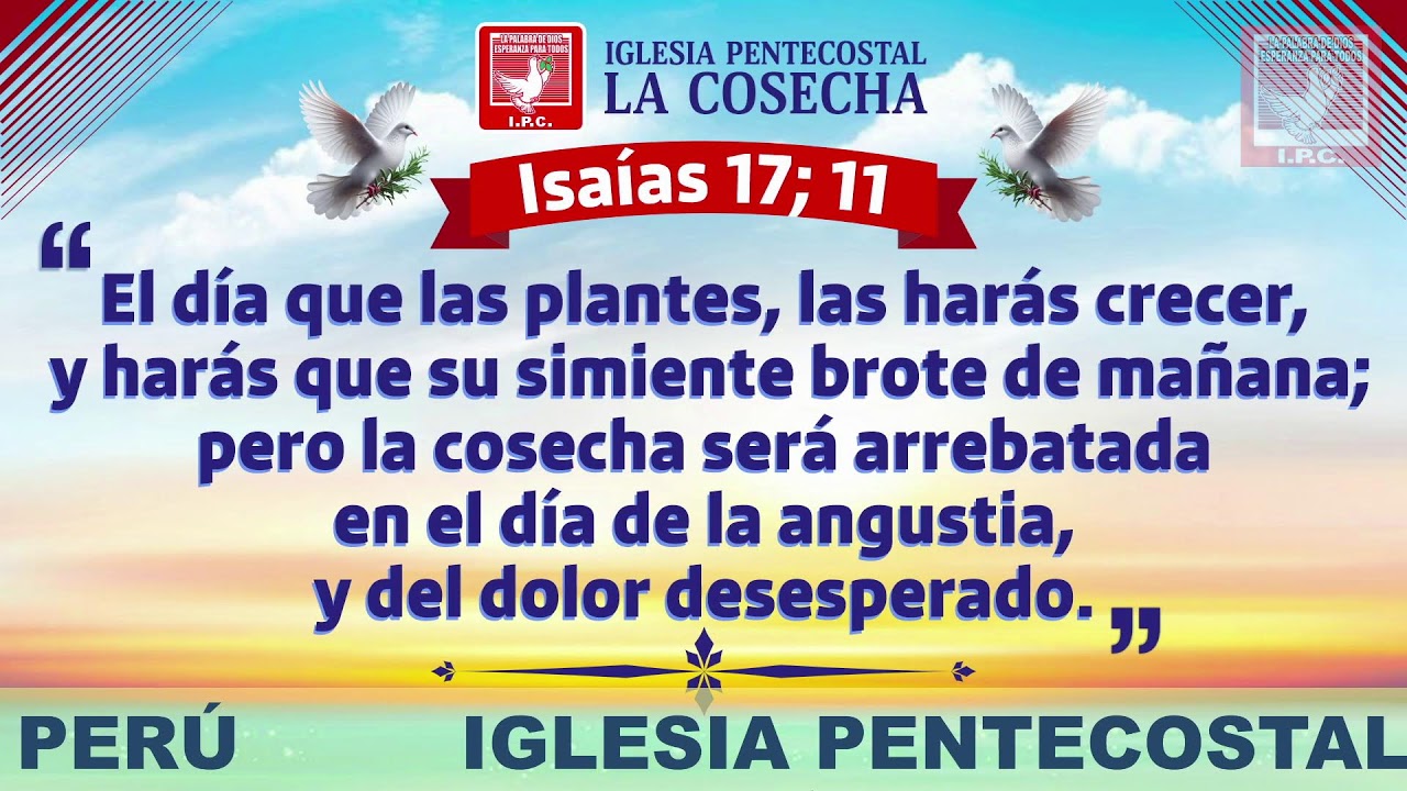 CAMPAÑA Y CENA IPC DOMINGO 01-02-2026