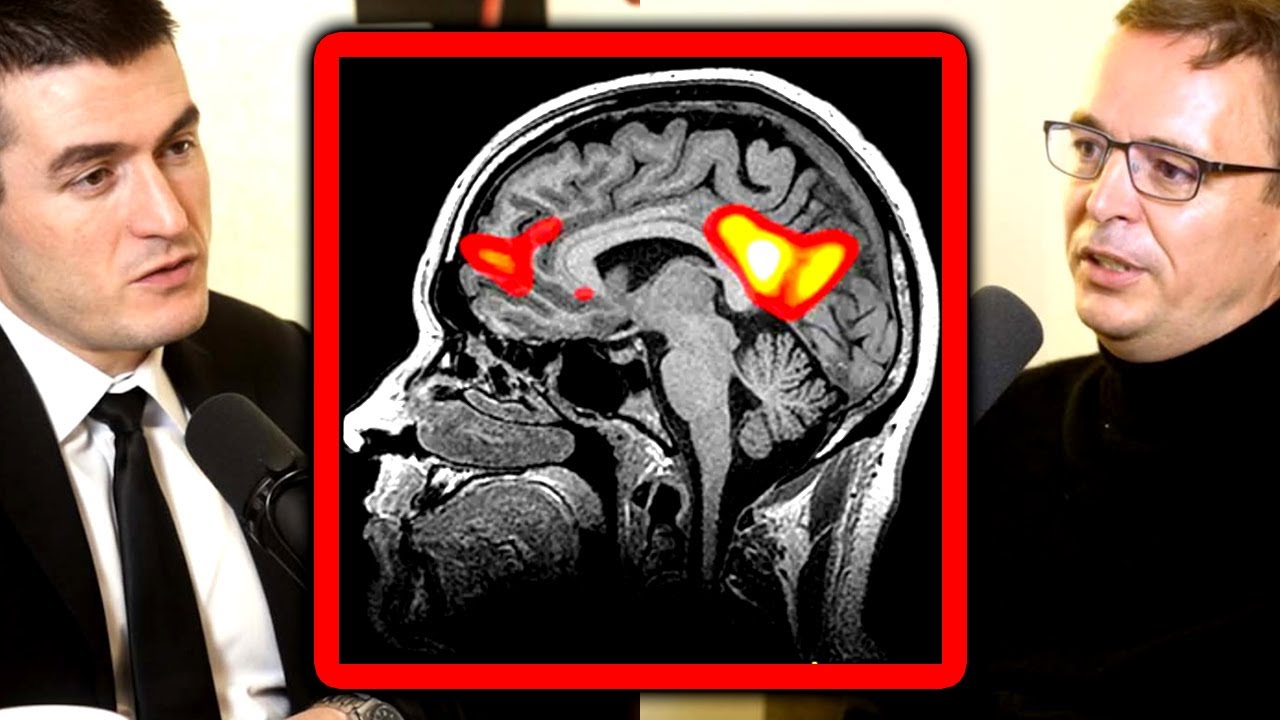 When does a human child gain consciousness? | Joscha Bach and Lex Fridman