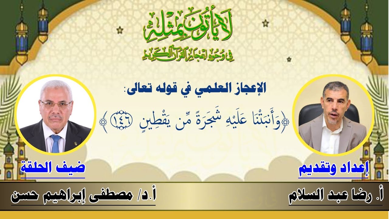 الإعجاز العلمي في قوله تعالى: ﴿وَأَنبَتْنَا عَلَيْهِ شَجَرَةً مِّن يَقْطِينٍ﴾