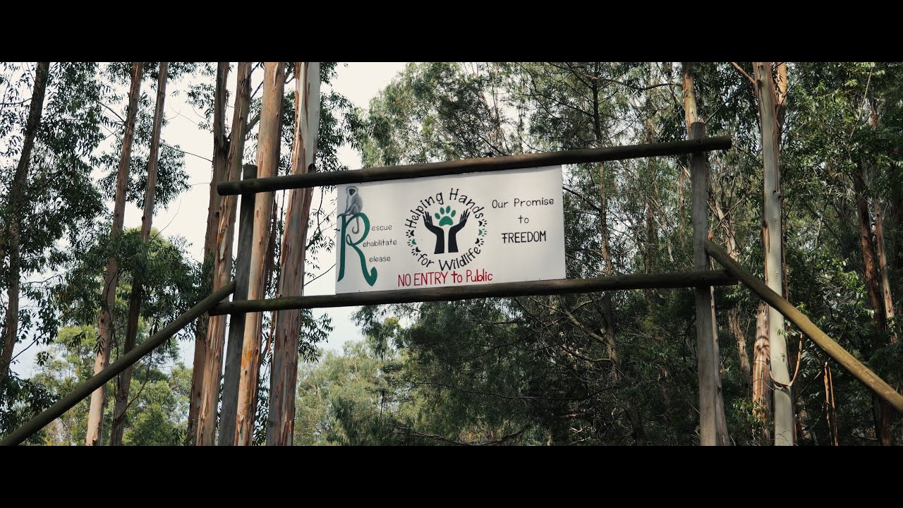 Gruppenreise Südafrika 2025