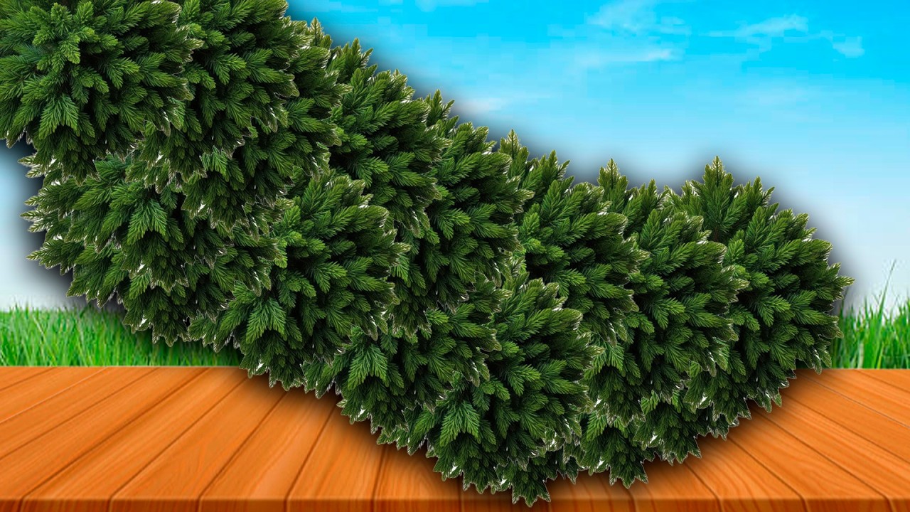 ASMR Soft Relaxation | Peaceful Spa Therapy Animation