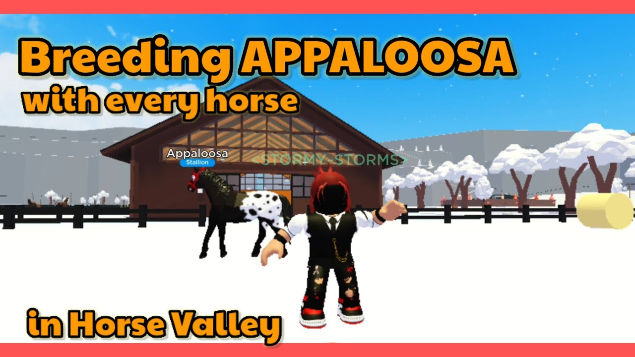 I bred Appaloosa with every horse in Horse Valley