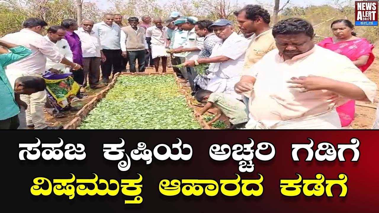ಸಹಜ ಕೃಷಿಯ ಅಚ್ಚರಿ ಗಡಿಗೆ ವಿಷಮುಕ್ತ ಆಹಾರದ ಕಡೆಗೆ| News Alert 24X7
