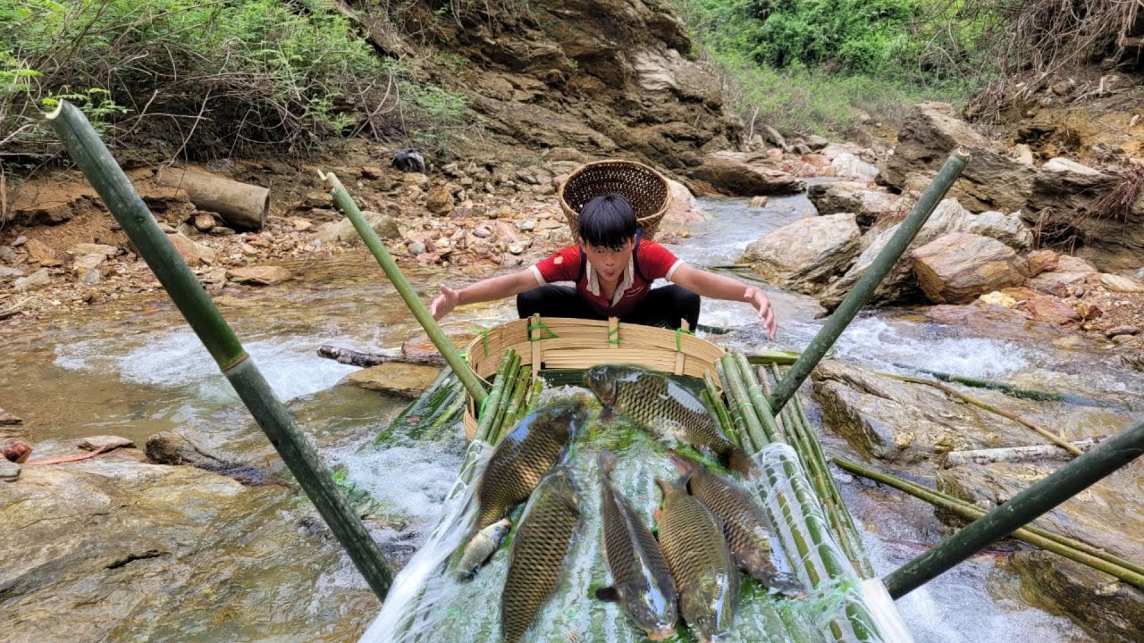 The boy used bamboo to make a trap to catch fish in the stream.