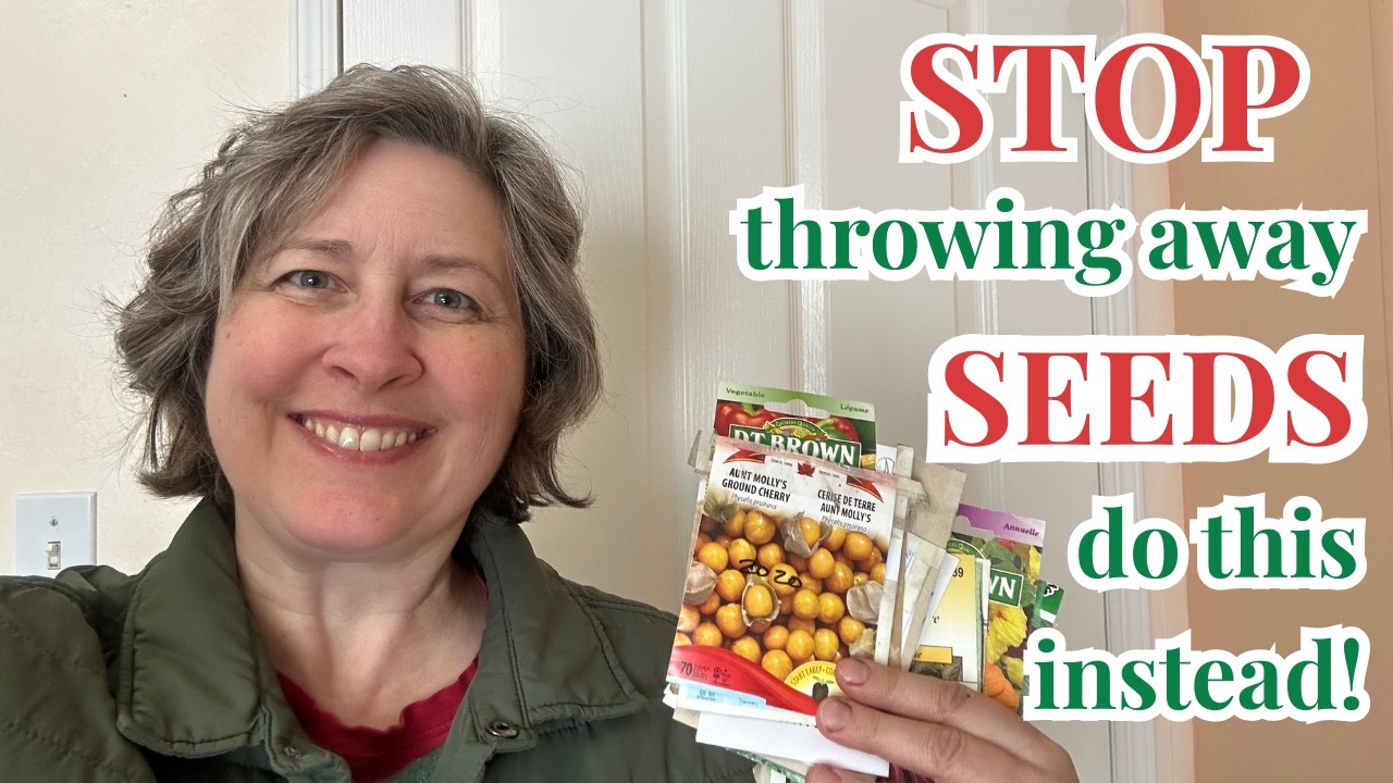 STOP throwing away old seeds - do this instead!