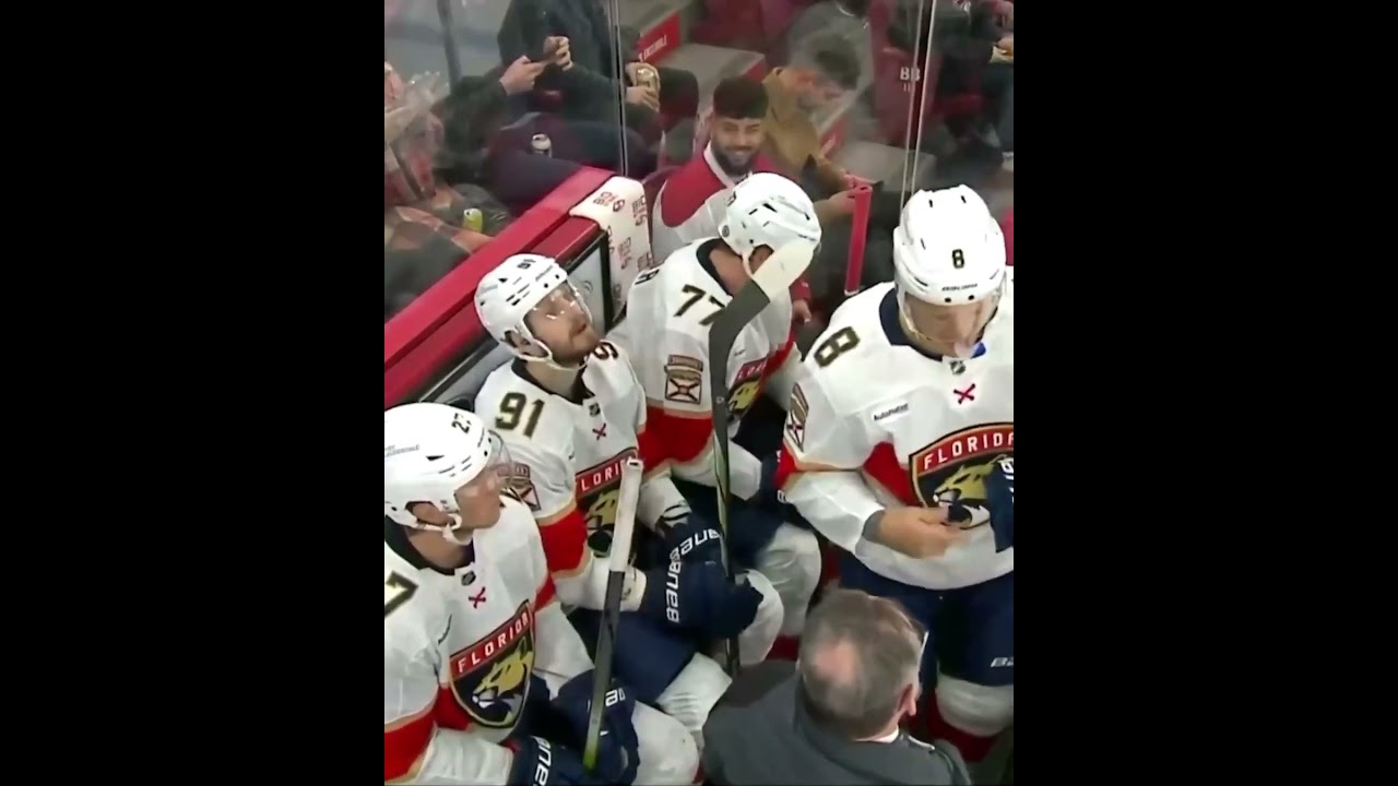 Florida Panthers penalty box fills up #hockeyclips #hockeyhighlights #nhlhockey #sports #nhlshorts