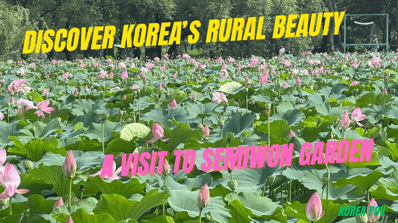 Walking Around Semiwon Garden in Yangsuri #korearural #koreacountryside #koreanature