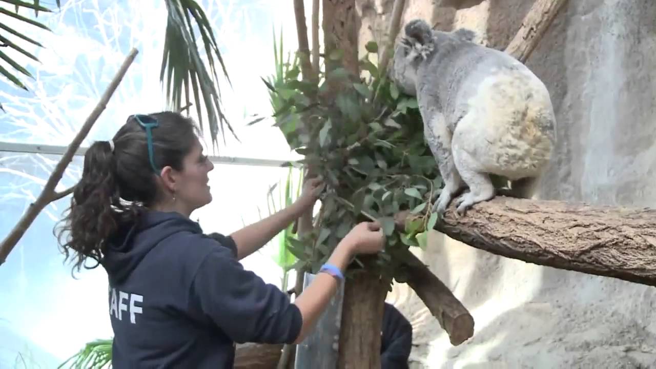 feedpods™ at Albuquerque Zoo