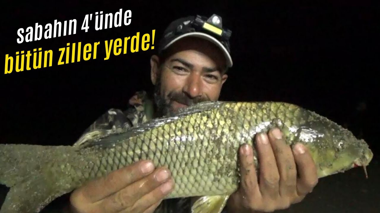 9 GÜNLÜK YENİ KAMP SERİSİ | 5.BÖLÜM | #Kamp#sazan#balıkavı#sazanavı#camping #fishing
