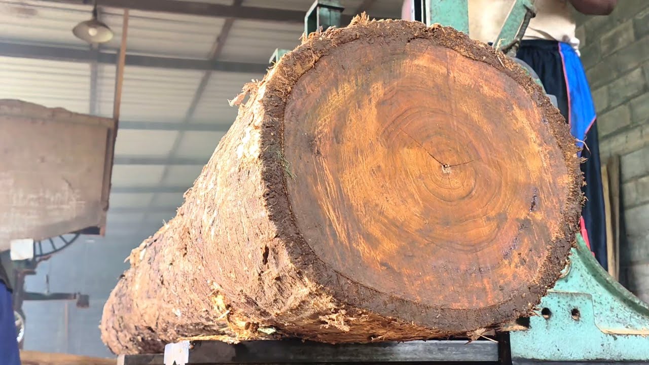 Full of precious floral motifs!! The most beautiful piece of wood sawing work inside the sawmill