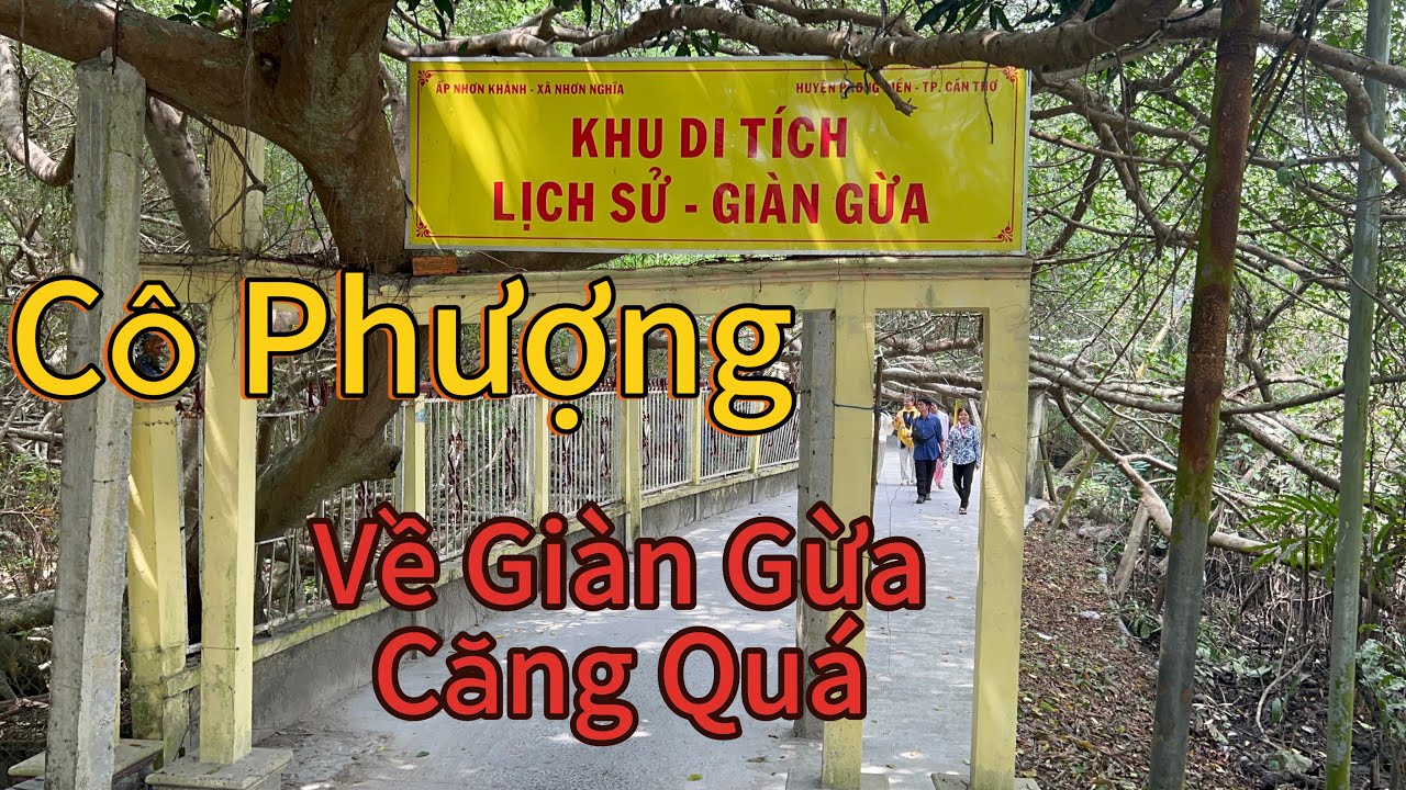 P74.Cô Phượng Trình Tổ _Đêm Ra ánh Sáng
