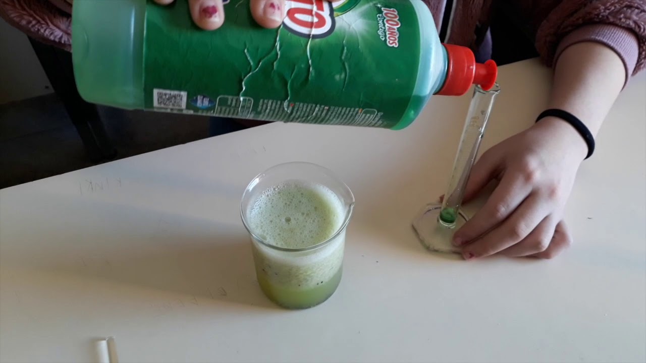 Extracción del ADN de un Kiwi