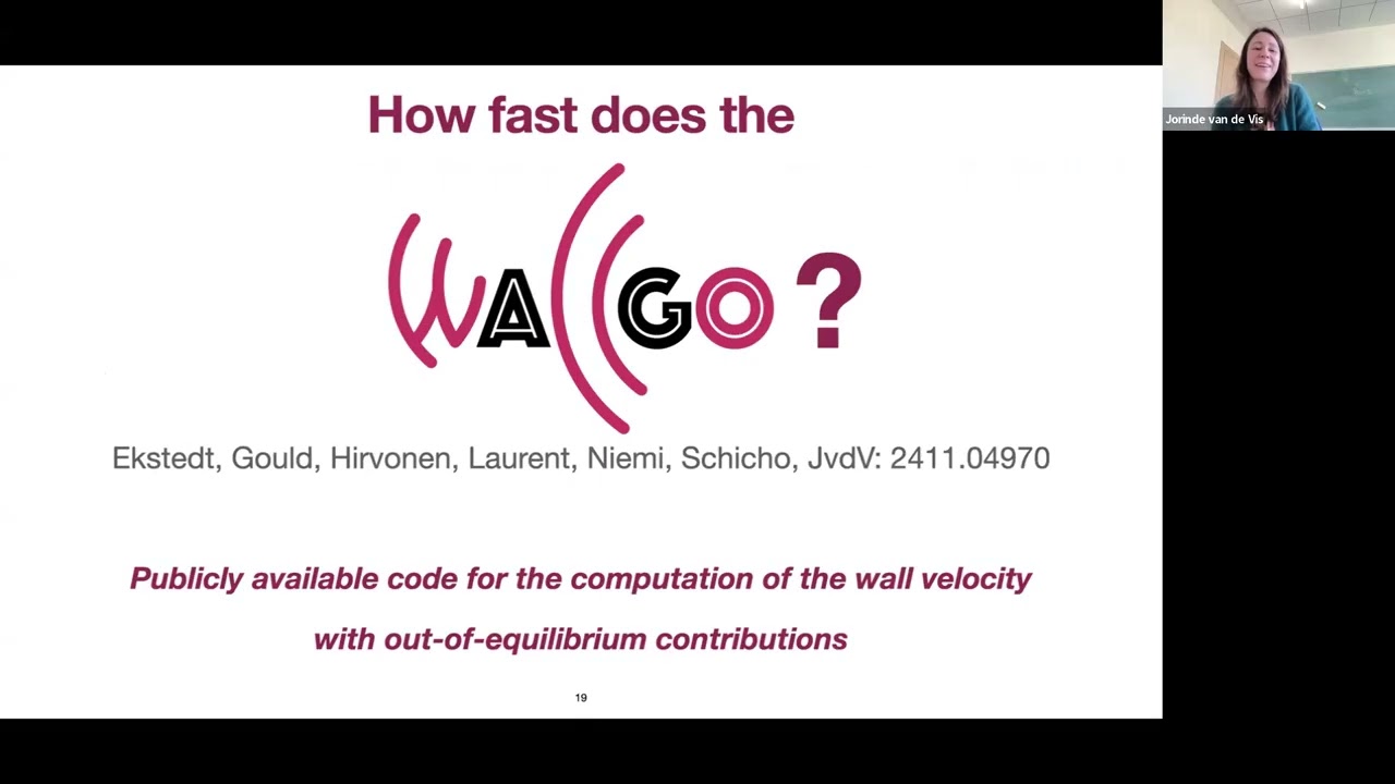 Jorinde van de Vis: Wall velocities and friction in cosmological phase transitions