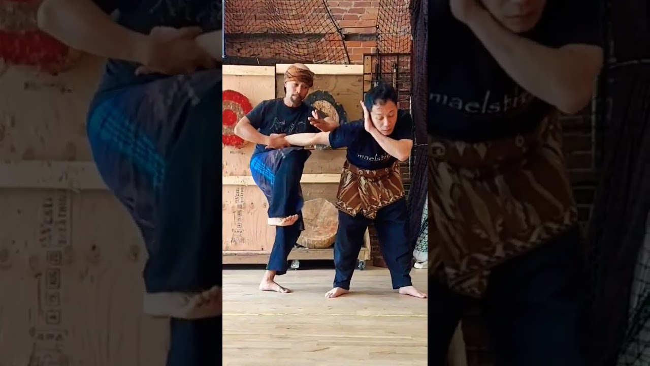 Pencak silat technique