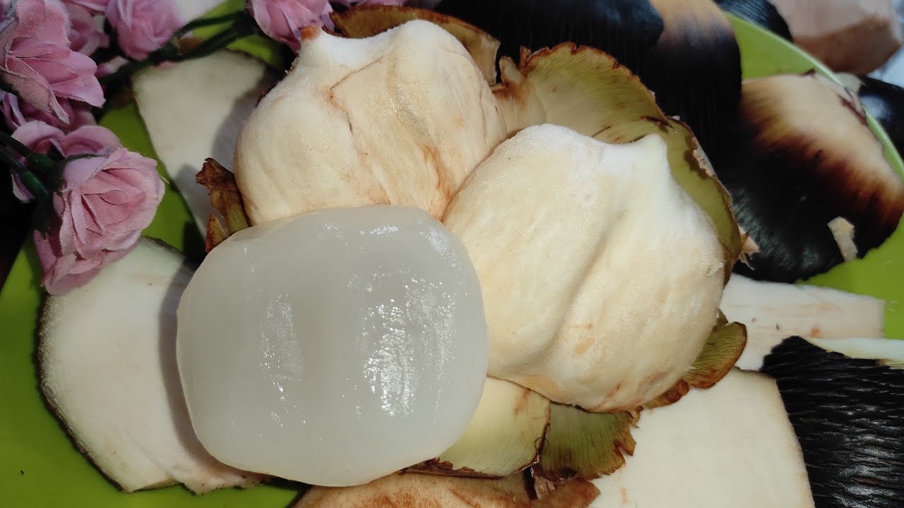 Ketrampilan Memotong dan Mengupas Buah Siwalan, Buah Lontar |   Cara Mengupas Buah Siwalan
