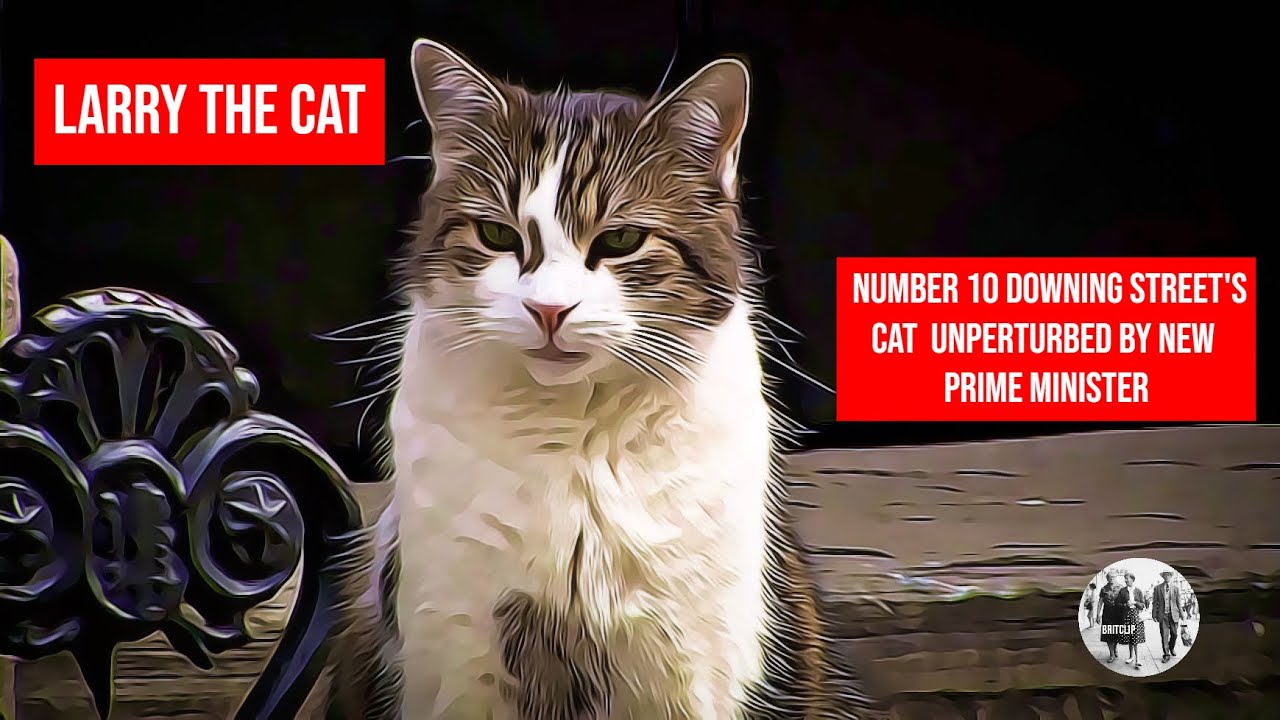 No. 10's Downing Street's Cat Larry unperturbed by new PM