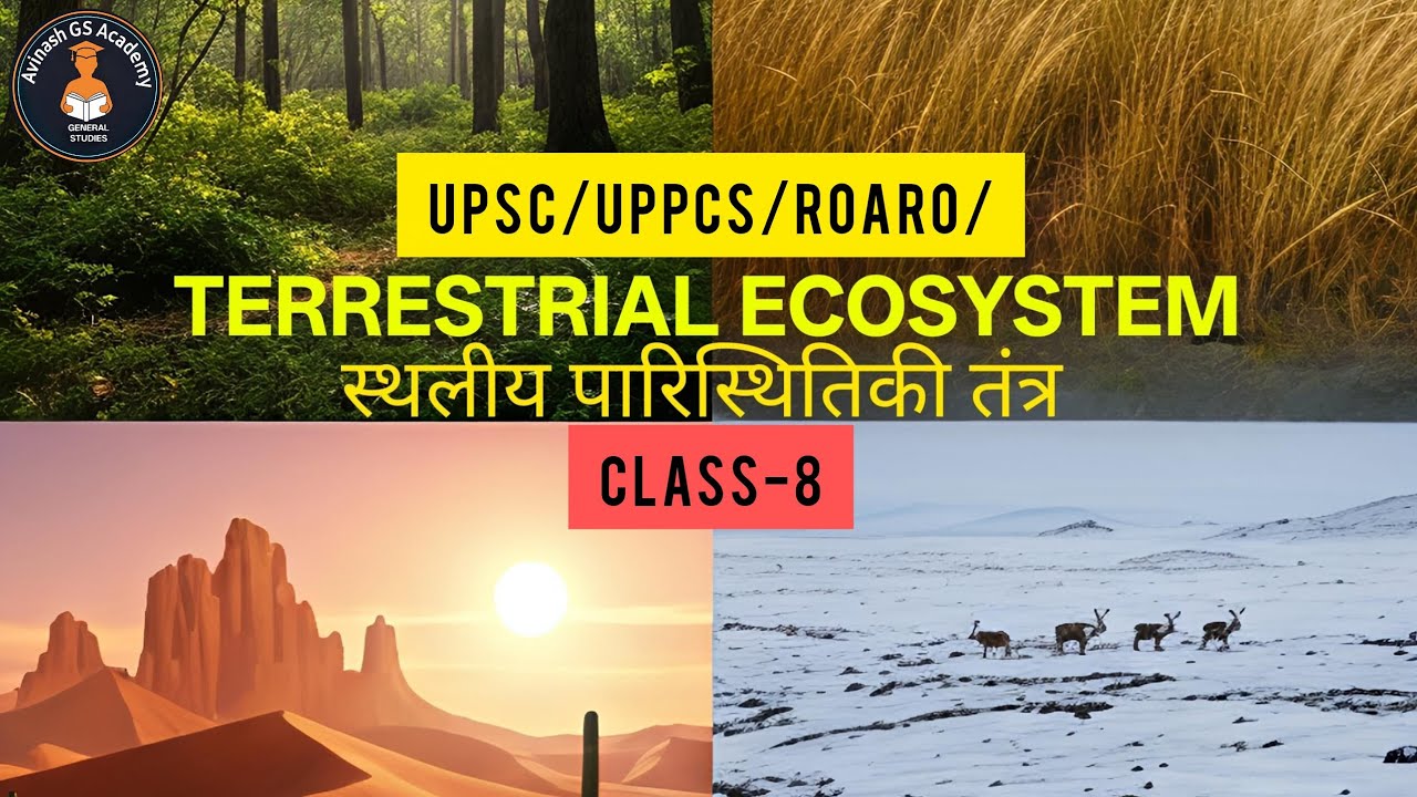स्थलीय पारितंत्र Terrestrial Ecosystem | Types of Ecosystems | Environment Class -8 | UPSC | UPPCS 🍀