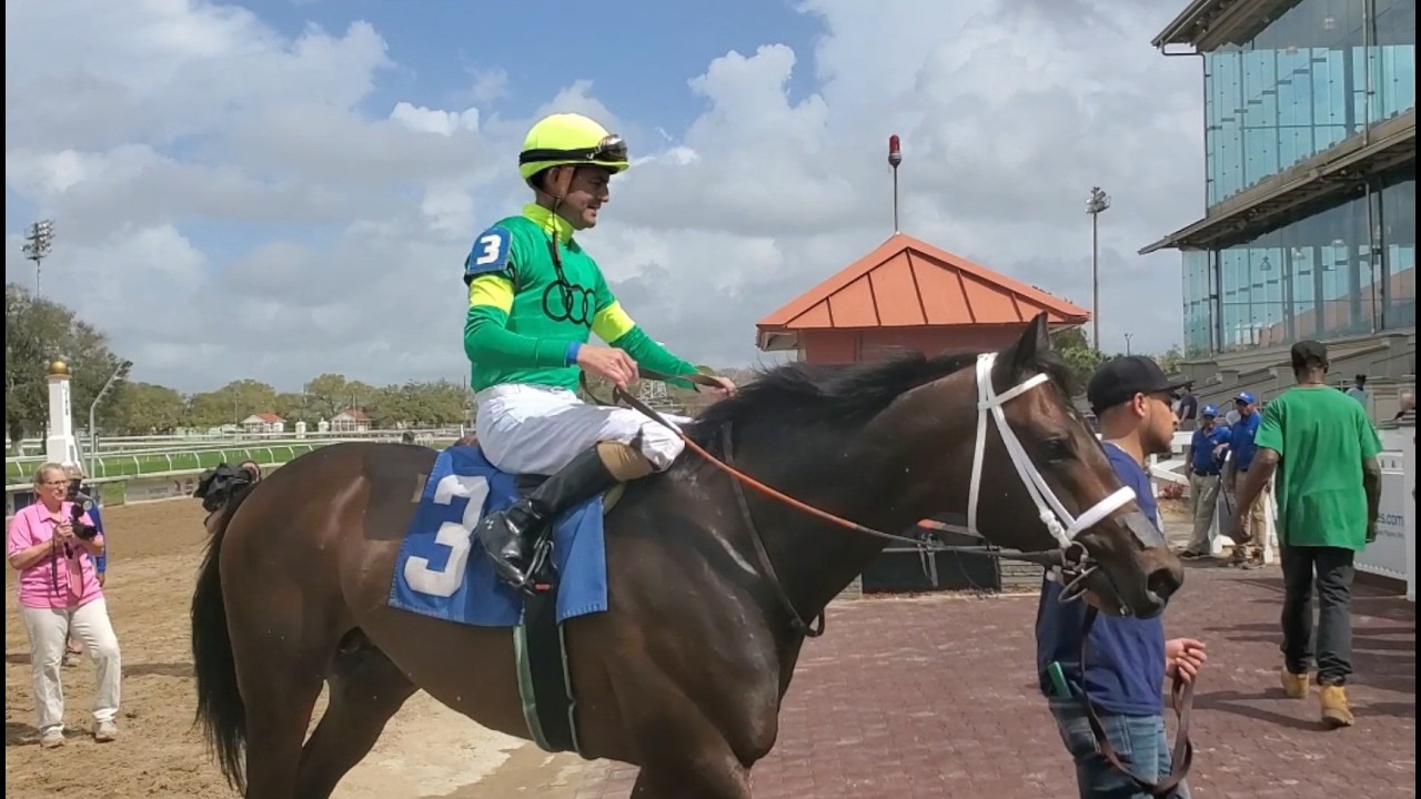 Corona De Oro
