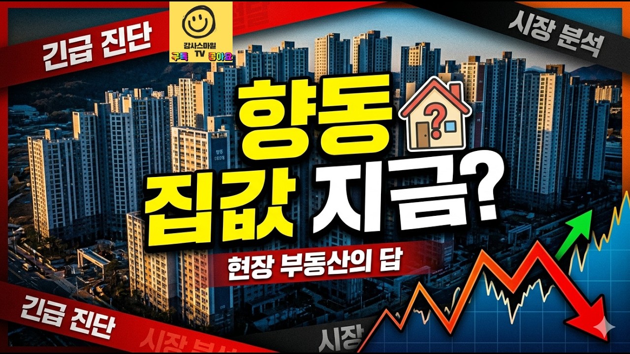 [감사스마일TV 🔴LIVE] 지금 향동 집값 상황… 현장 부동산 대표에게 직접 물어봤습니다