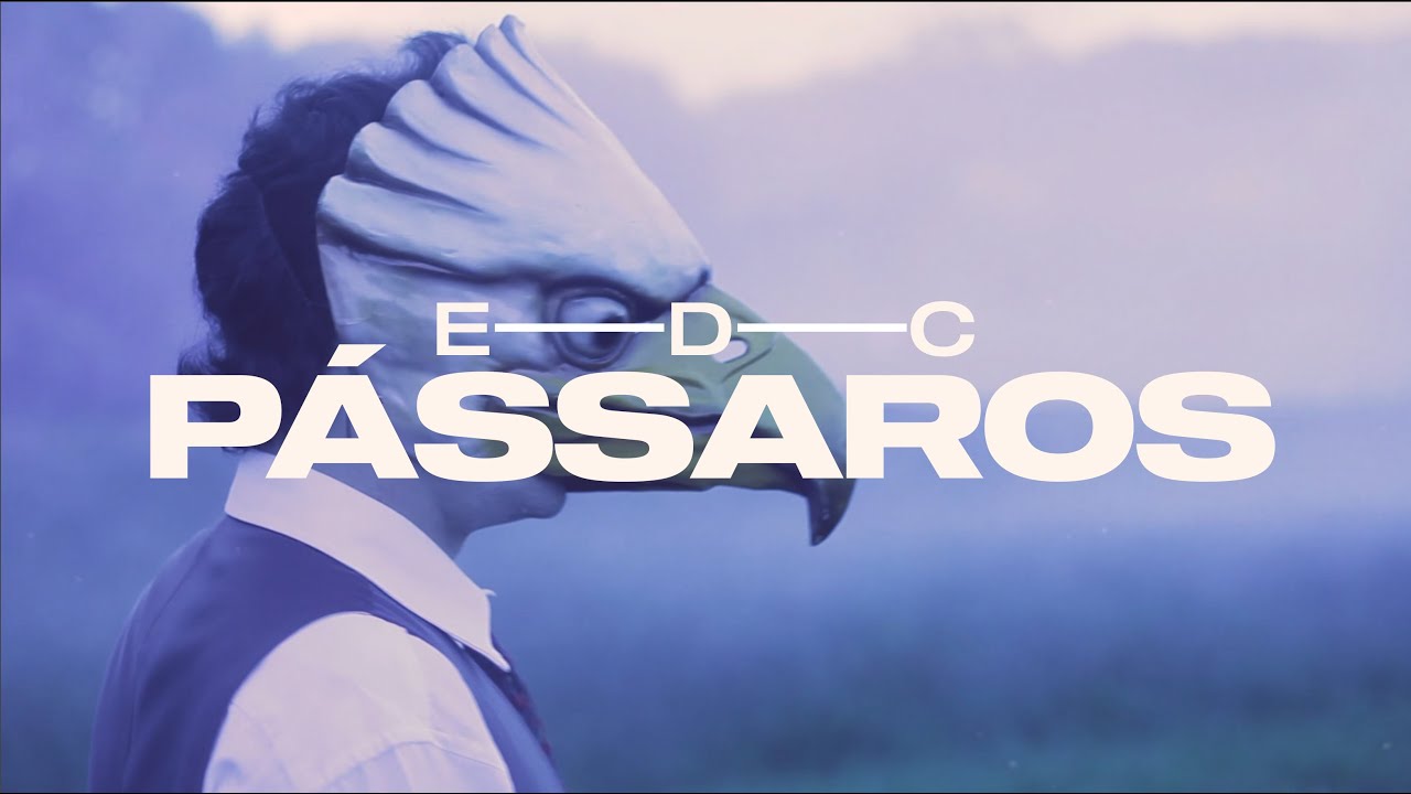 EDC PÁSSAROS _ VERSÃO FULL HD