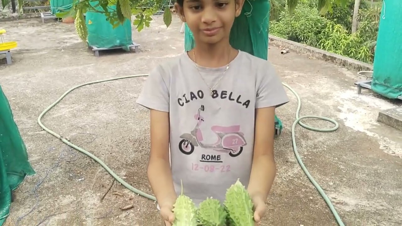 ഓർക്കാൻ  ഇഷ്ടപ്പെടാത്ത നാളുകൾ, കൂടെ മധുരിക്കും പാവയ്ക്ക കാഴ്ചകൾ