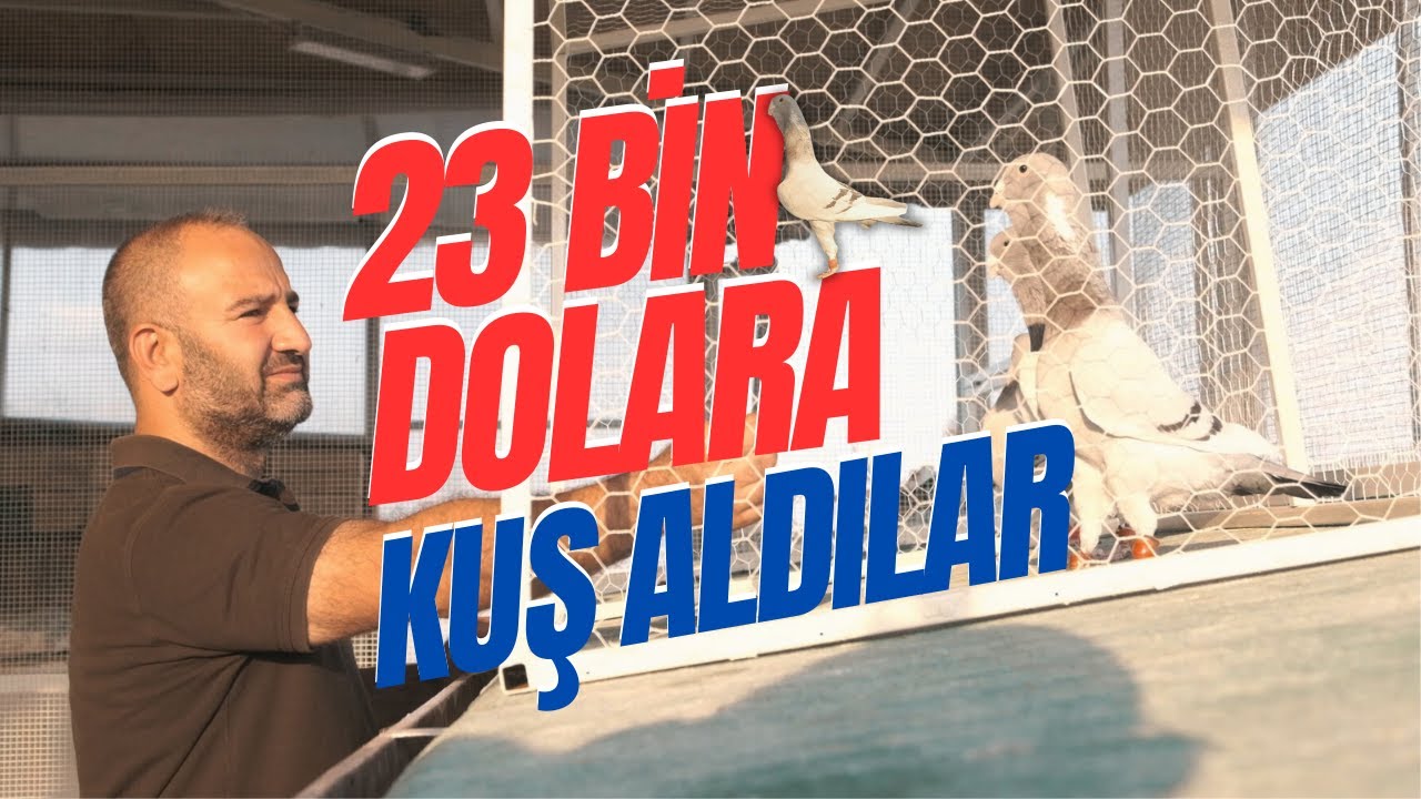 23 BİN DOLARA KUŞ ALDILAR: BU SEVDA FARKLI - MUSTAFA EROĞLU