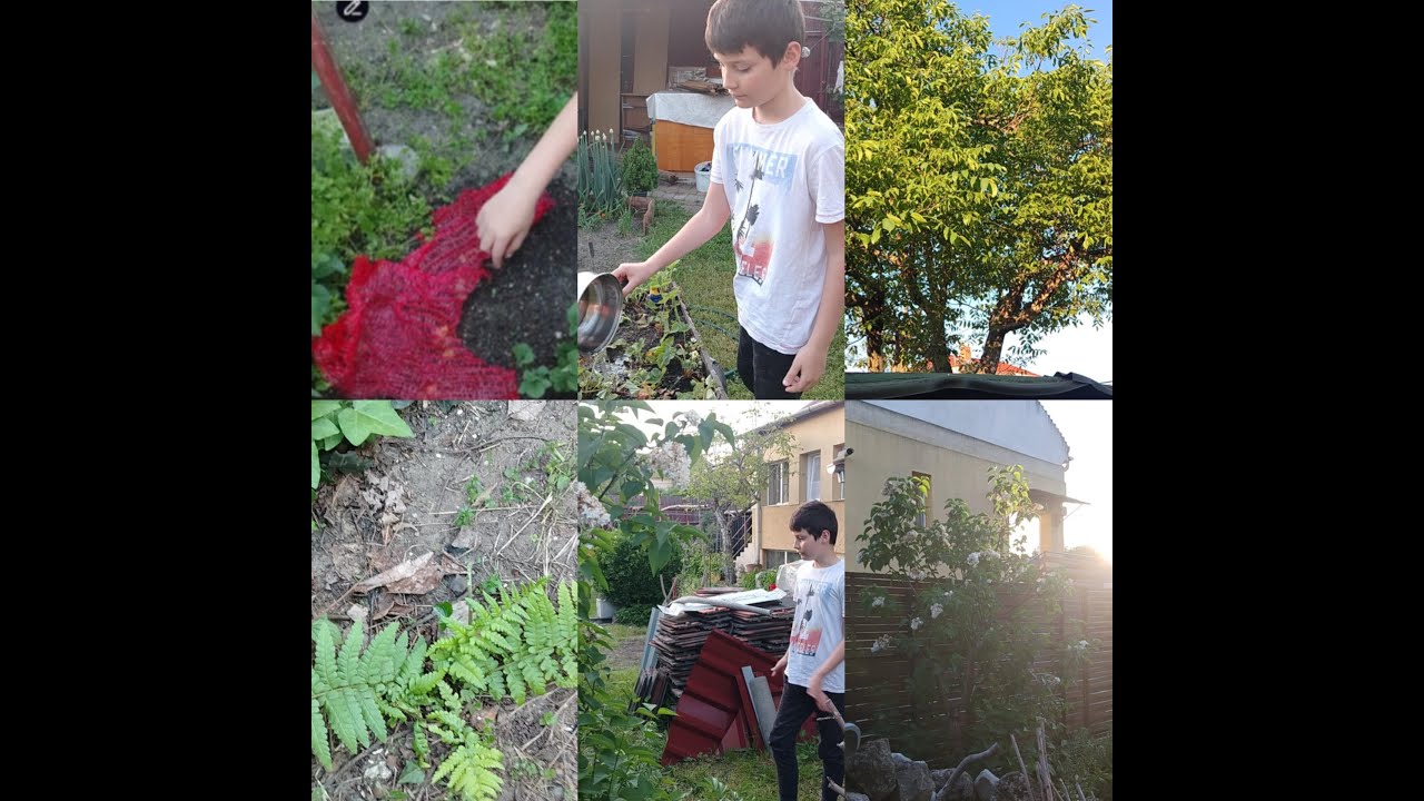 🤣Kertünk bemutatása(2025)🌿🌹
