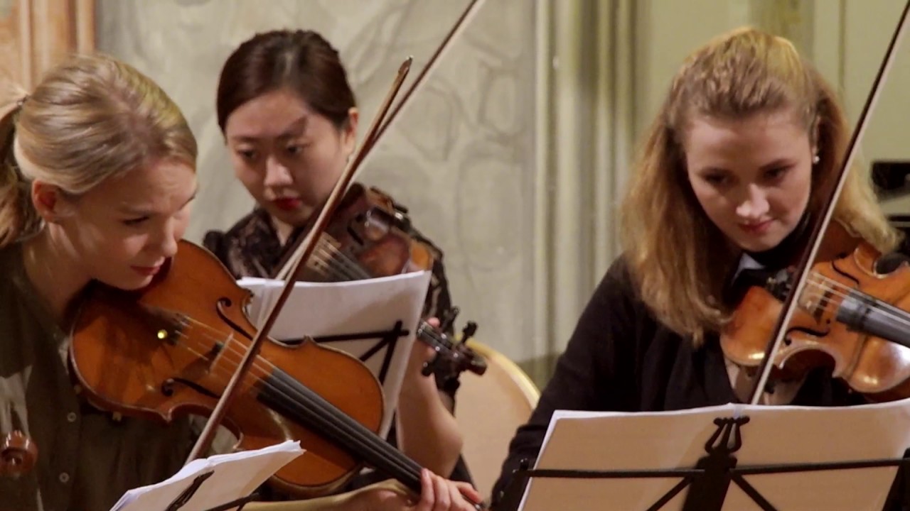 J. Suk: Serenade für Streichorchester in Es-Dur op. 6