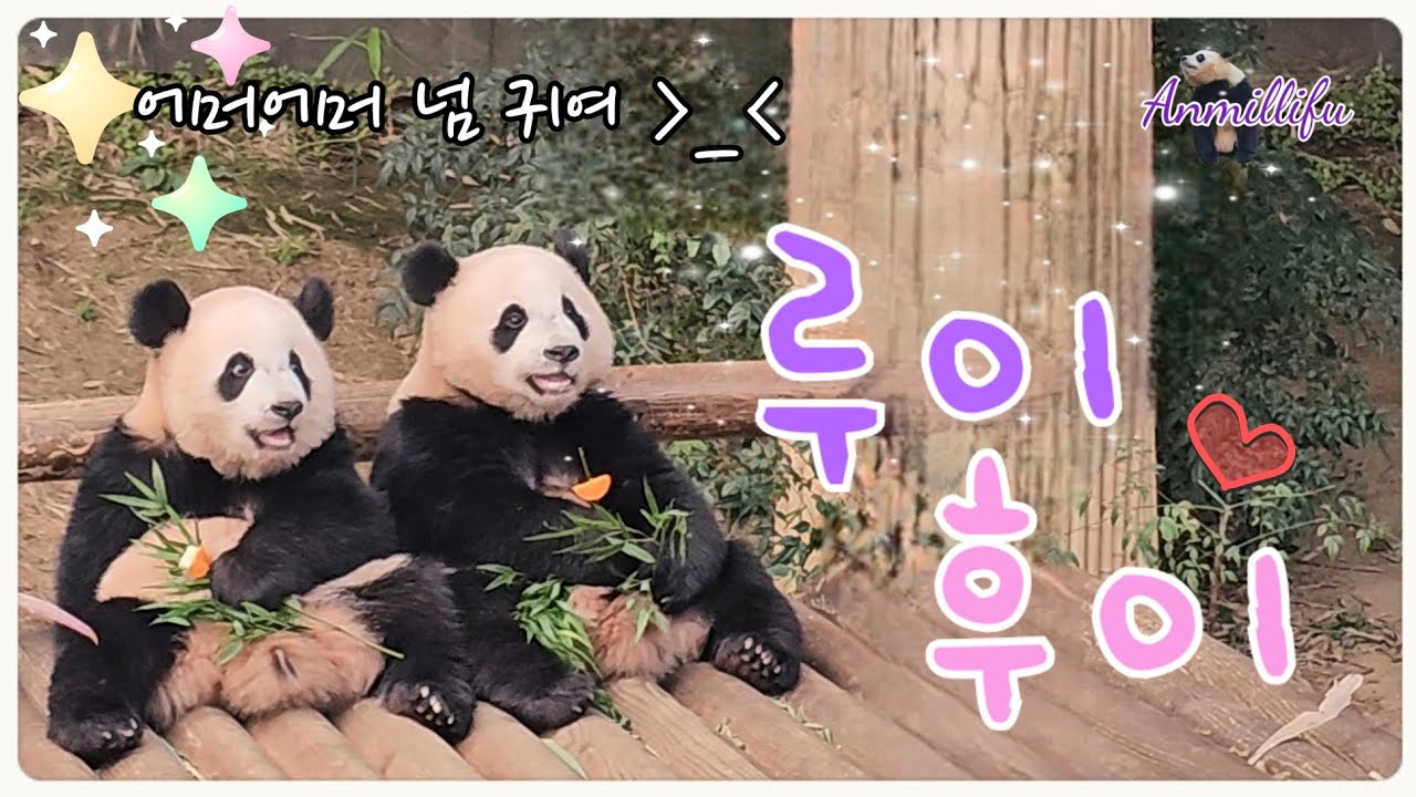 2024.08.04. 쌍둥이 나란히.. 느무 기여 💓