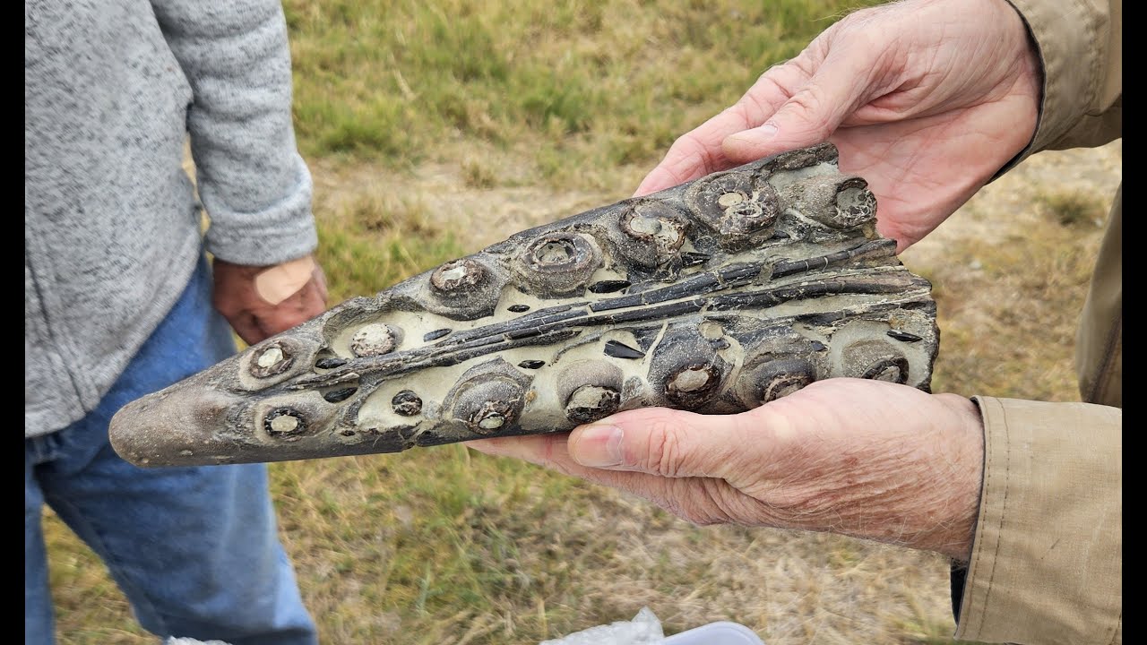 Episode 152 - IN A FOSSIL DAZE! (At Ladonia Fossil Day)