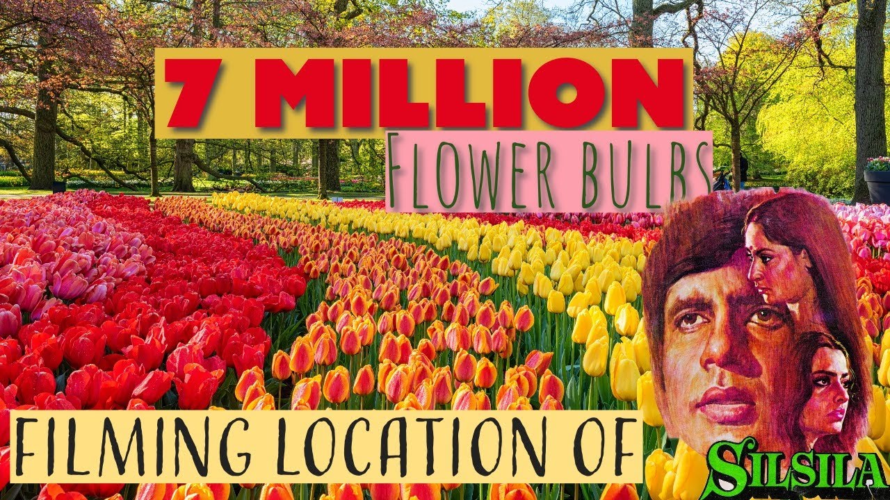 Keukenhof Gardens - Amitabh Bachchan & Rekha movie silsila filming location