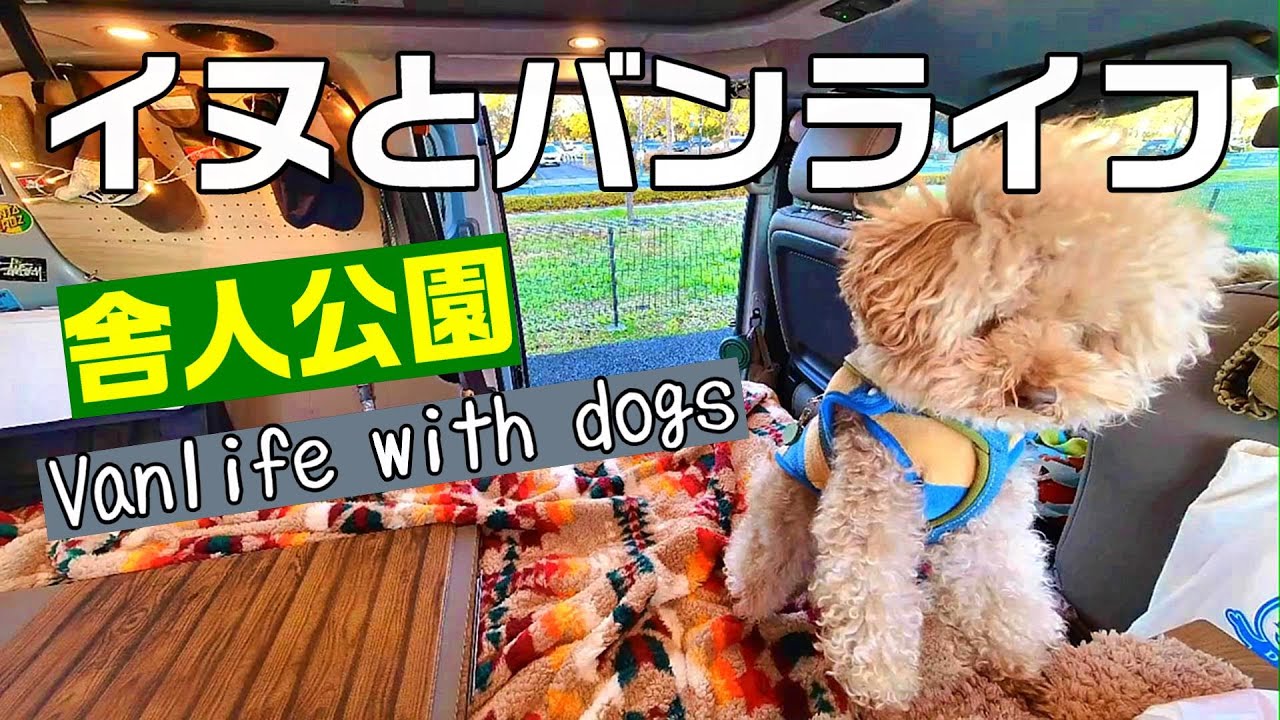 【バンライフ】東京の公園でイヌとバンライフ ｜舎人公園｜東京公園｜犬とキャンピングカー｜INUVAN│キャンピングカー│バンライフ│NV200 │