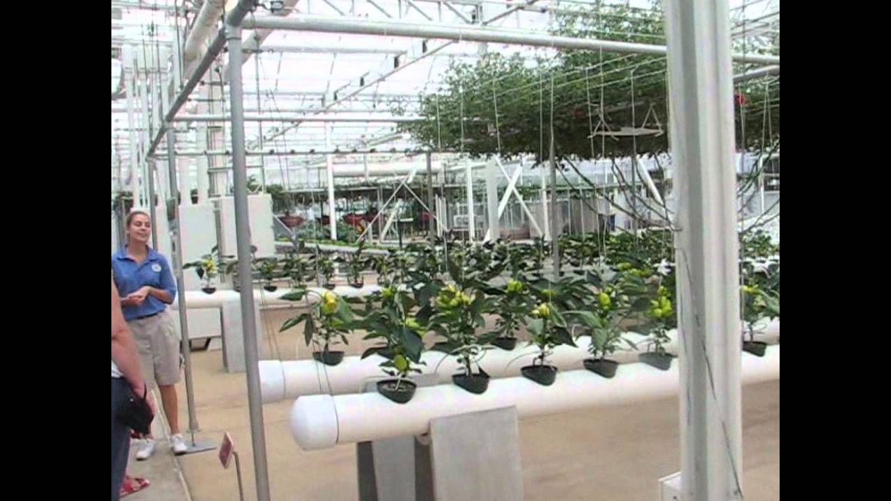Behind the Seed Tour.wmv