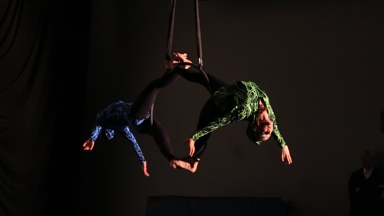 Ecliptic Aerial Duo - Lyra - Teardrop