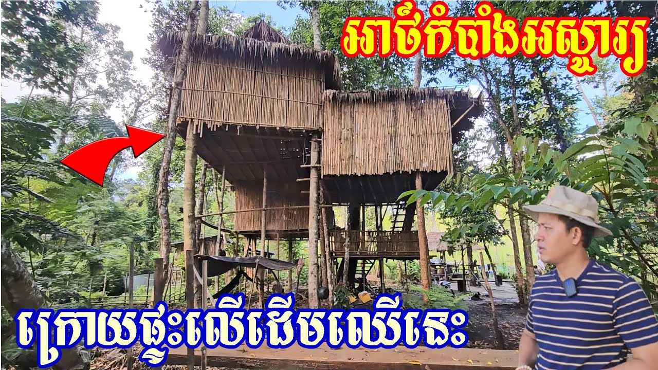 ពិតជាប្លែកមិនទែន ពេលនេះដឹងការពិតហើយ ផ្ទះលើដើមឈើ Really nice to see this tree house