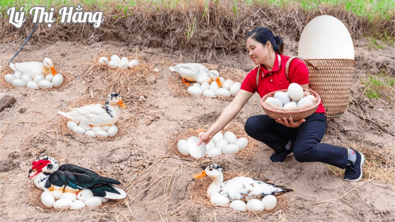 How to harvest Duck Egg & Go to the market - Harvest, Selling & Cooking || Daily Harvest |Daily Life