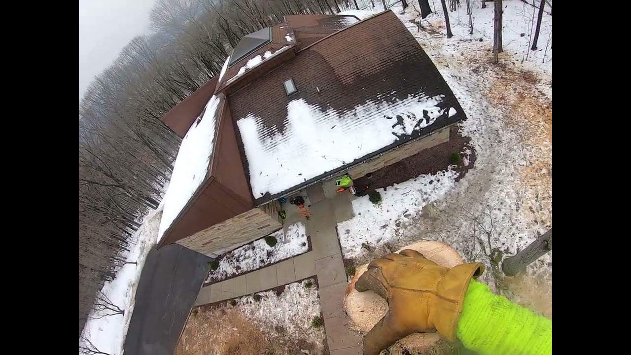 Chunking Down white oak limb