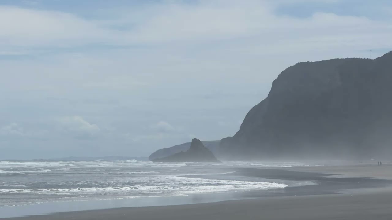 Walking New Zealand (446)_Jan 2026