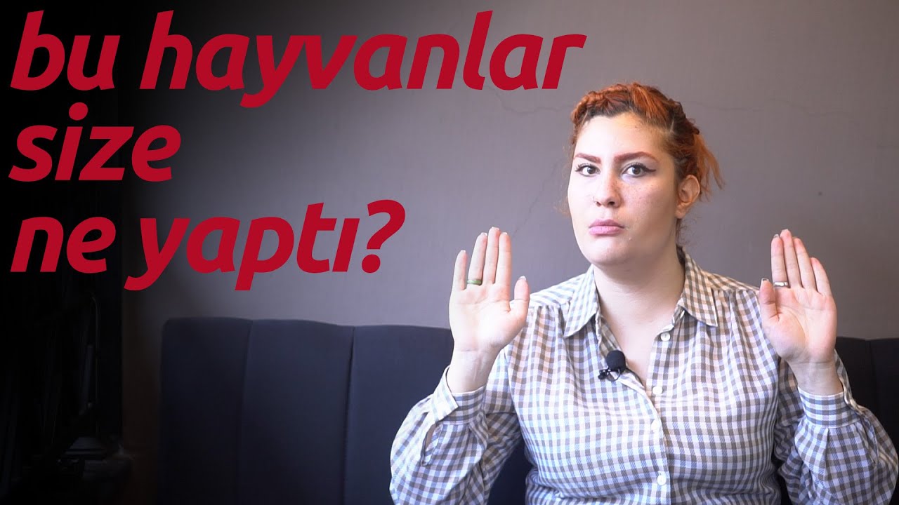 Hayvan Sevgisi Hakkında Dile Getirilmeyenler
