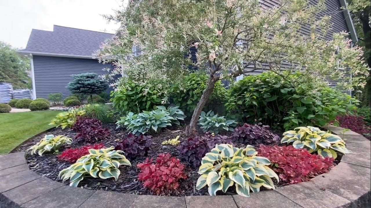 Early June Garden Tour. Mid Michigan Zone 4/5. Come Walk Around the Garden With Me!