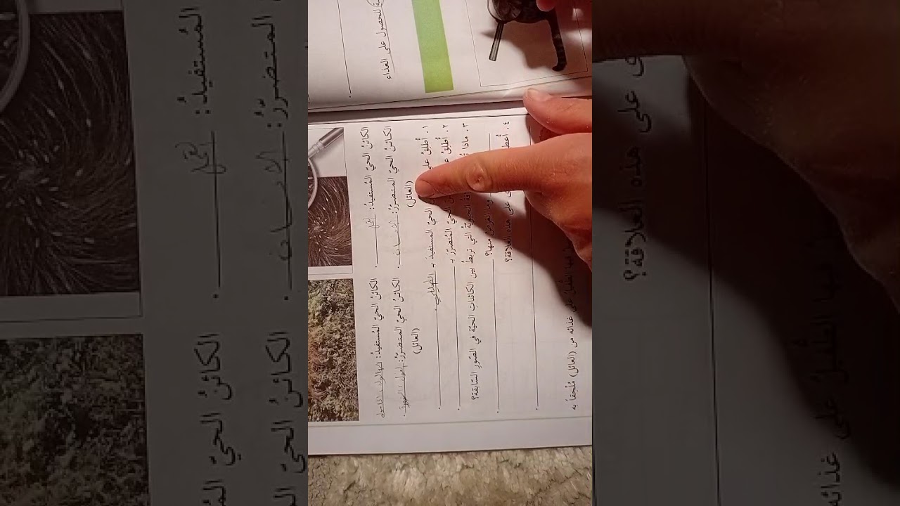 ١٧ مارس ٢٠٢٦