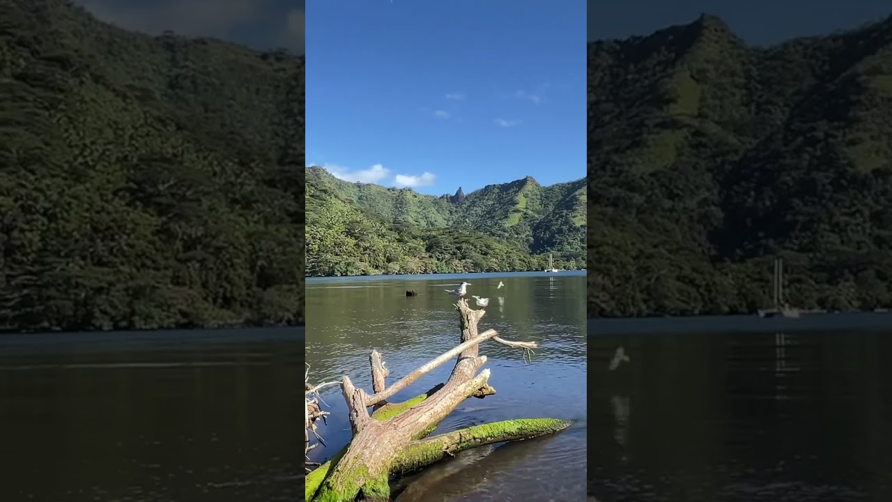 The most beautiful photo spots of Moorea with Lorelei from Eyes Of Moorea