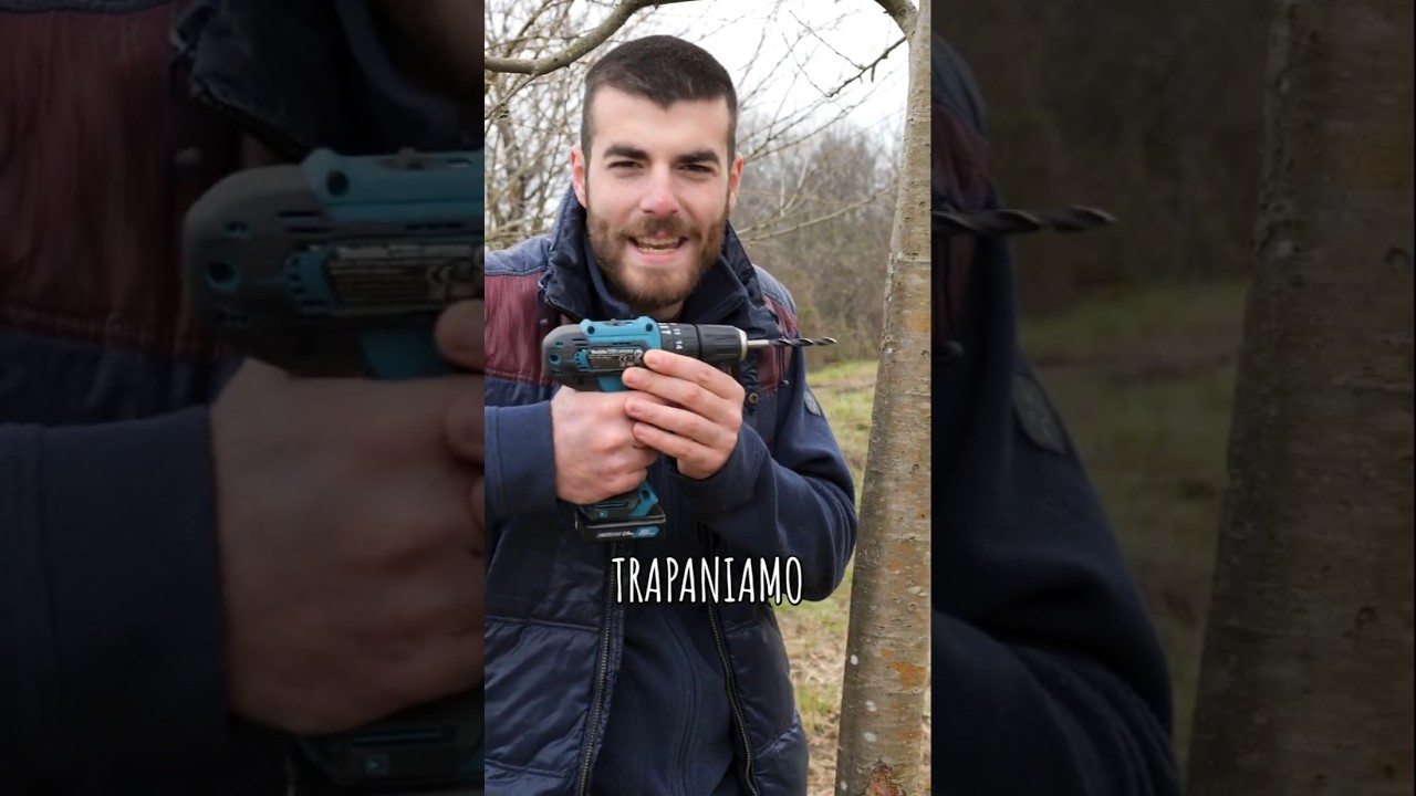 Come INNESTARE CON UN TRAPANO #innesti