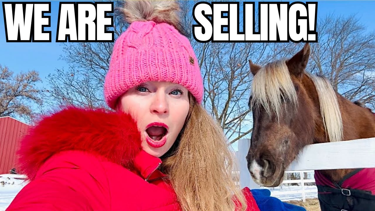 Лошади на продажу? Люди уезжают? Новая недвижимость? У нас есть новости!