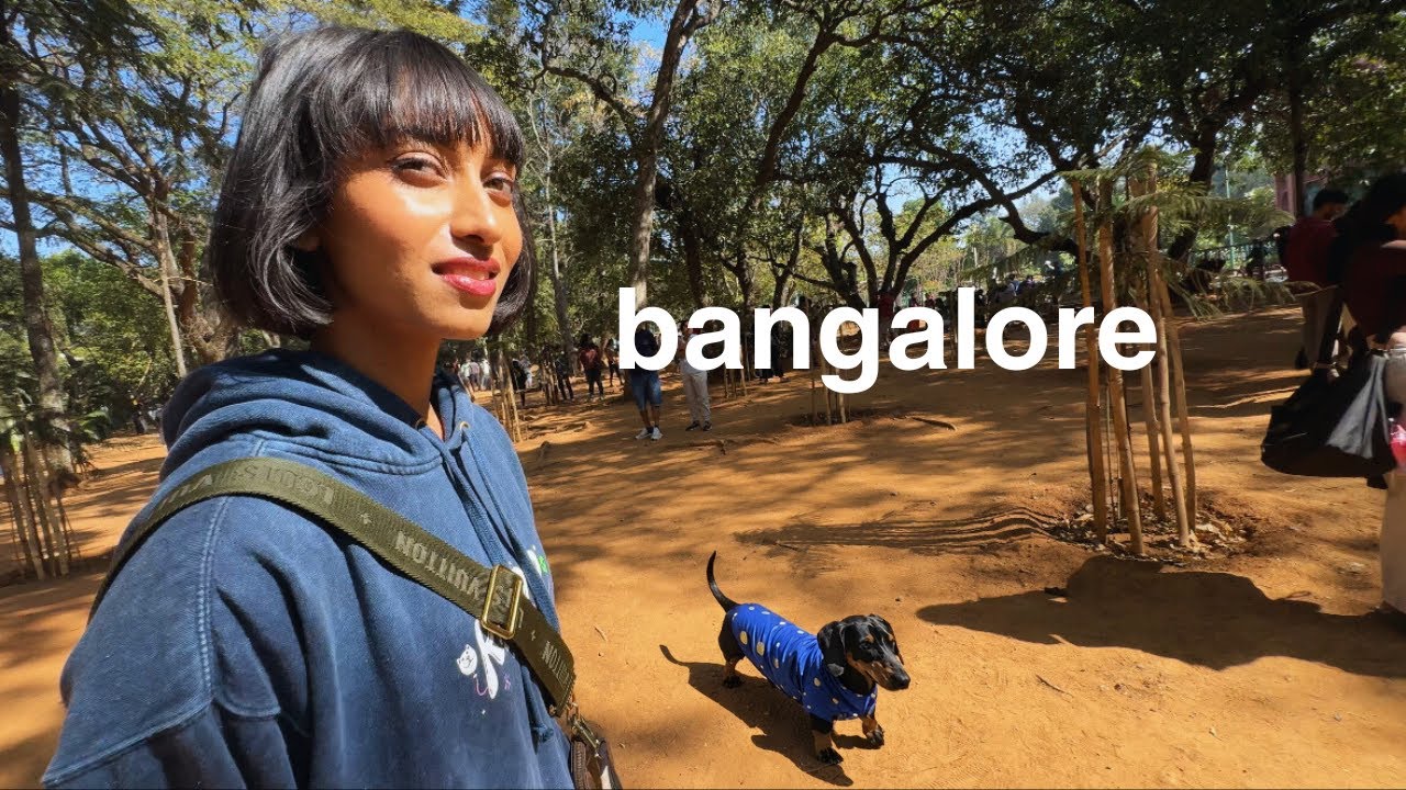 Dog Walking In Bangalore Gone Wrong