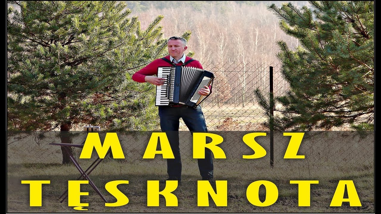 Тоска по Родине - свадебный марш холостяка, аккордеон