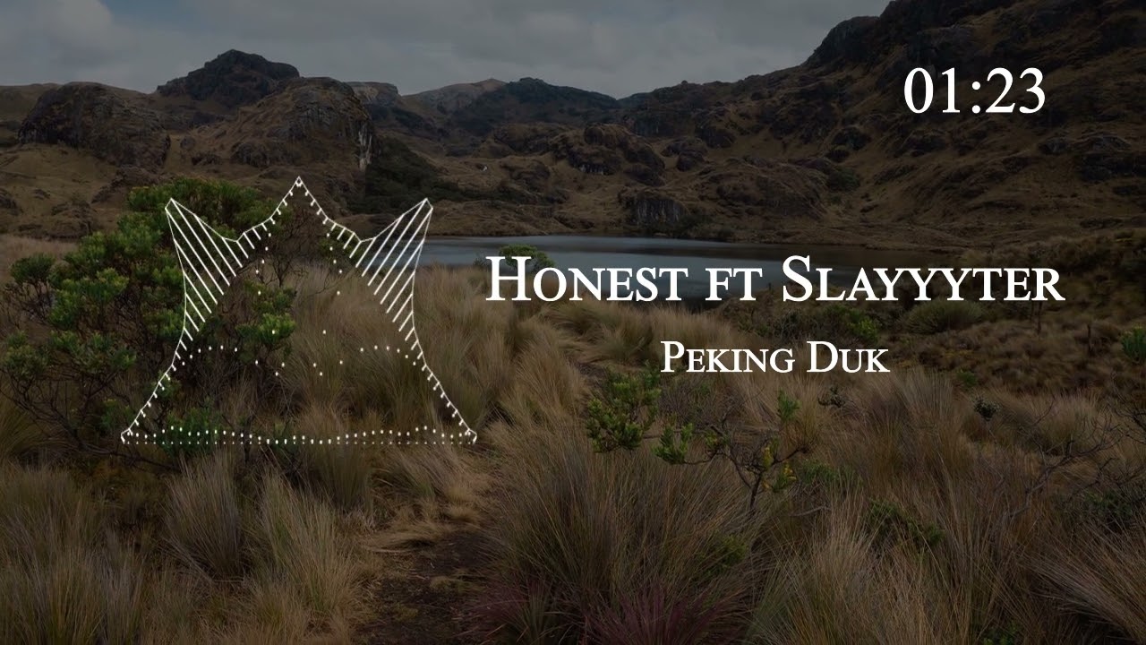 Peking Duk  - Honest