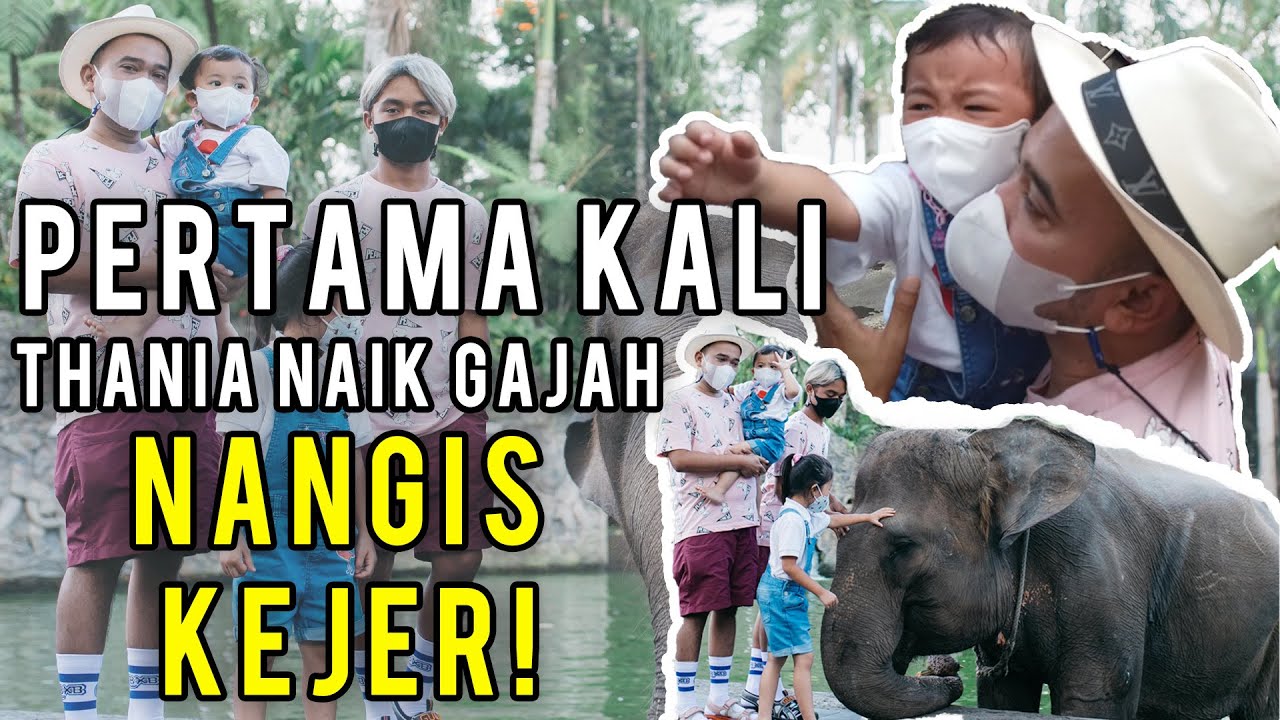 The Onsu Family - Thania nangis kejer naik GAJAH!